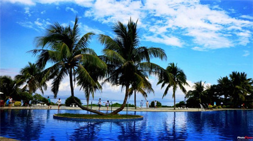 艾果芋丸烧仙草