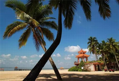 蔬婆婆蔬菜水果干