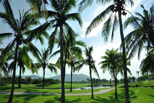 容嬷嬷麻辣烫加盟优势大吗