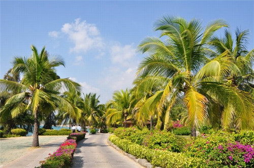 烟台熊老头加盟费多少