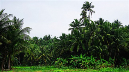 奶茶加盟店怎么转