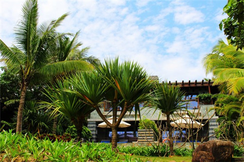 小本投资者可以加盟巢茶吗