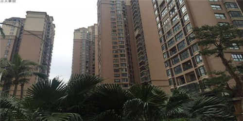 吃鸡手游选什么牌手机（吃鸡买哪款手机好用）