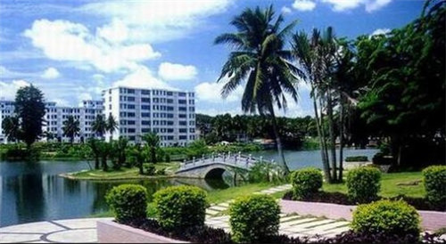 你说我的傻瓜是什么歌（歌词你说我傻）