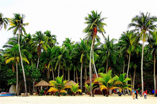 快手视频直播怎么放歌（快手怎么在直播的时候放歌）