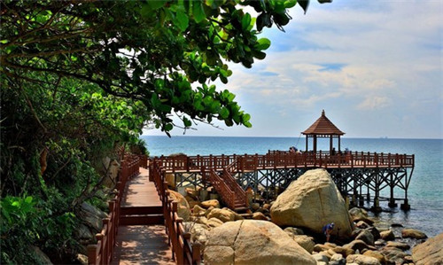 播放什么呀什么歌呀（播放什么呀什么歌呀是什么歌）