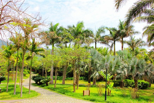 王郎景区门票购买入口（王朗景区有什么好玩的?）